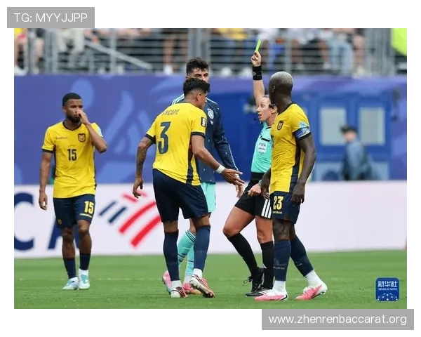 世界杯厄瓜多尔VS德国比赛现场氛围及观众互动体验全方位指南